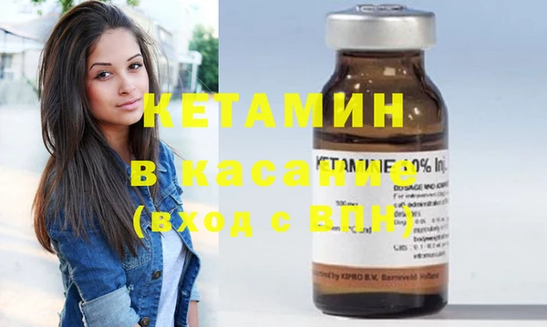 прущие грибы Аркадак