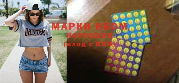 прущие грибы Аркадак