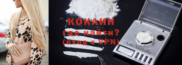 шишки Балабаново