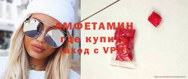прущие грибы Аркадак