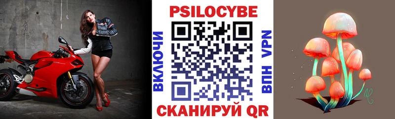 купить наркотики цена  Тара  omg tor  Галлюциногенные грибы GOLDEN TEACHER 
